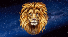 Gif animé lion tête